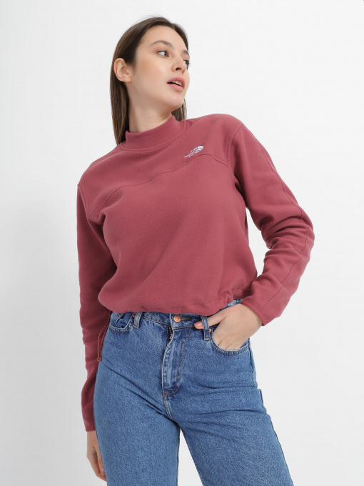 Свитшот The North Face TKA Mock Neck модель NF0A7URD6R41 Фото