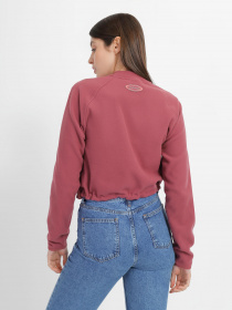 Свитшот The North Face TKA Mock Neck модель NF0A7URD6R41 Фото