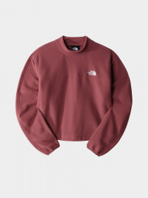 Свитшот The North Face TKA Mock Neck модель NF0A7URD6R41 Фото
