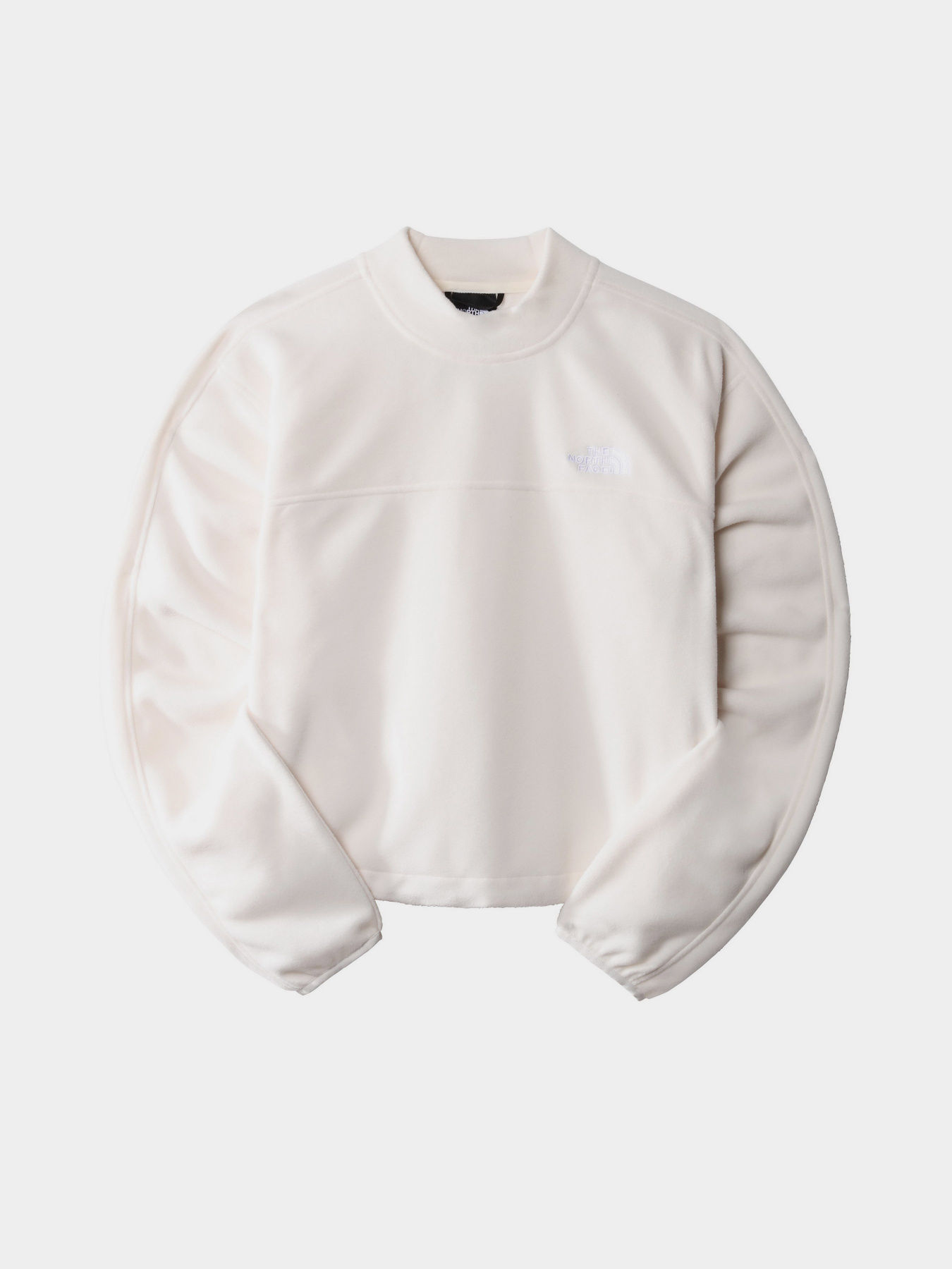 Свитшот The North Face TKA Mock Neck модель NF0A7URDN3N1 Фото