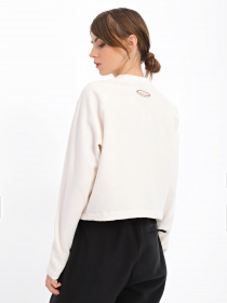 Свитшот The North Face TKA Mock Neck модель NF0A7URDN3N1 Фото