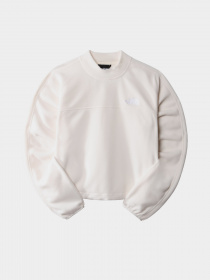 Свитшот The North Face TKA Mock Neck модель NF0A7URDN3N1 Фото