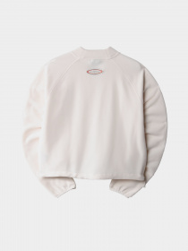 Свитшот The North Face TKA Mock Neck модель NF0A7URDN3N1 Фото