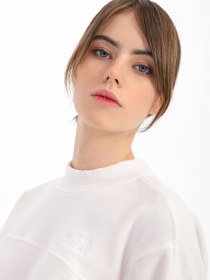 Свитшот The North Face TKA Mock Neck модель NF0A7URDN3N1 Фото