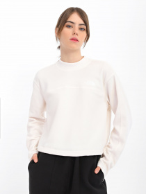 Свитшот The North Face TKA Mock Neck модель NF0A7URDN3N1 Фото