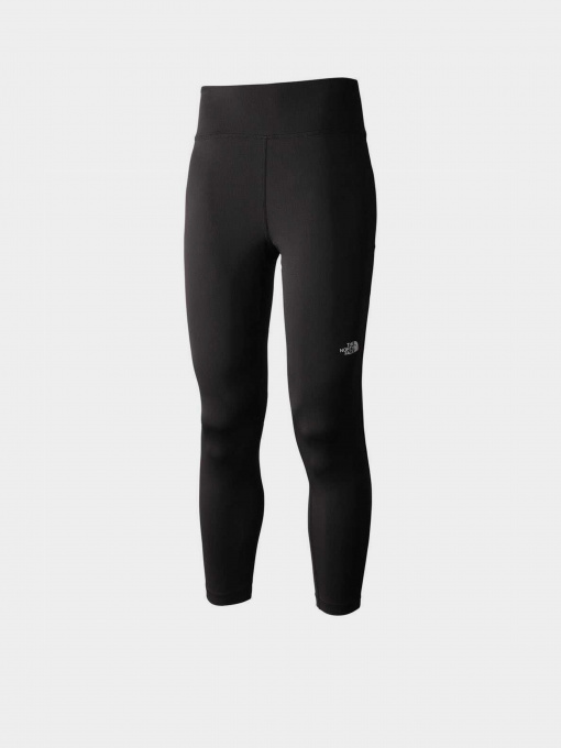 Леггинсы спортивные The North Face Standard модель NF0A7X1DJK31 Фото