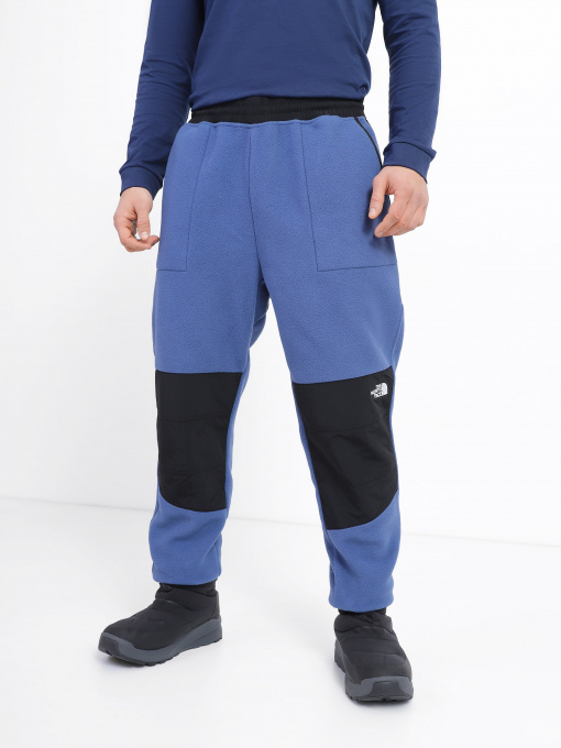Спортивні штани The North Face Denali модель NF0A7UR5HDC1 Фото