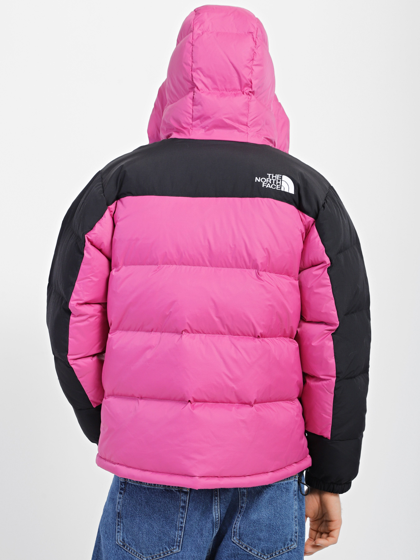 Пуховик The North Face Himalayan модель NF0A4QYX7481 Фото