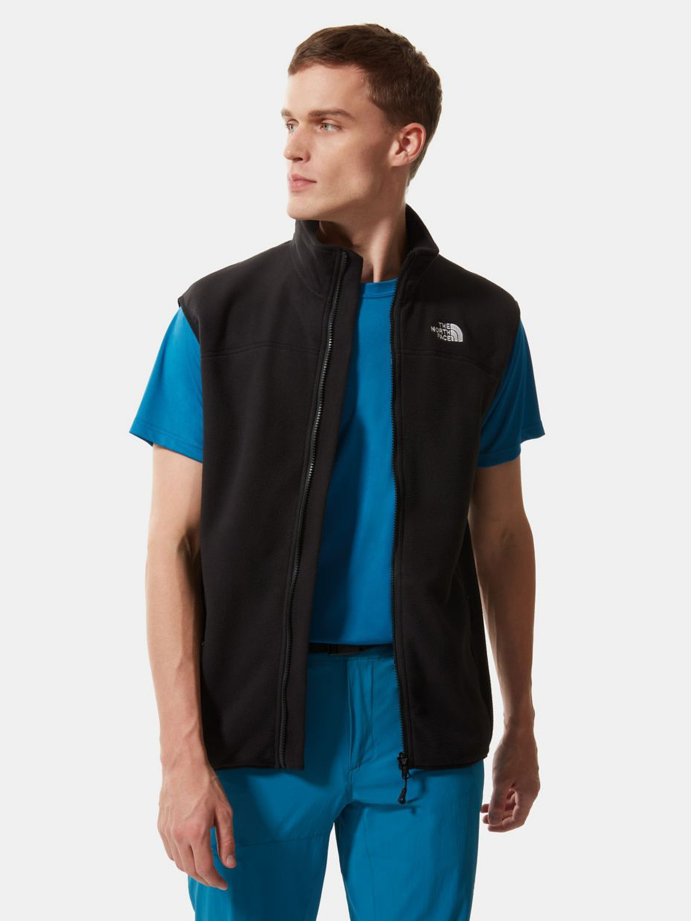 Жилет The North Face 100 Glacier модель NF0A7SSLJK31 Фото