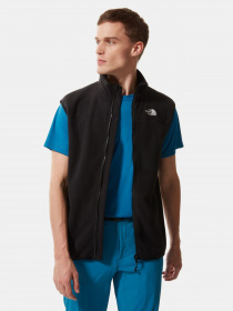 Жилет The North Face 100 Glacier модель NF0A7SSLJK31 Фото
