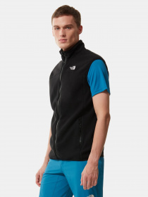 Жилет The North Face 100 Glacier модель NF0A7SSLJK31 Фото