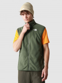 Жилет The North Face 100 Glacier модель NF0A7SSLNYC1 Фото