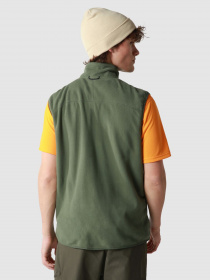 Жилет The North Face 100 Glacier модель NF0A7SSLNYC1 Фото