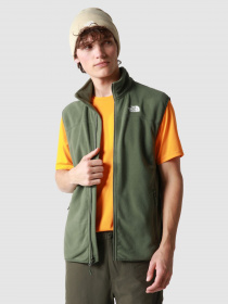 Жилет The North Face 100 Glacier модель NF0A7SSLNYC1 Фото