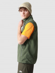 Жилет The North Face 100 Glacier модель NF0A7SSLNYC1 Фото