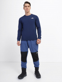 Лонгслив The North Face Simple Dome модель NF0A3L3B8K21 Фото