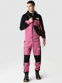 Кофта The North Face Icon модель NF0A7X1Y7481 Фото