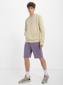 Худи The North Face Light Drew Peak модель NF00A0TE8D61 Фото