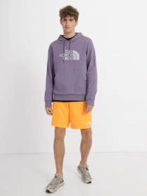 Худи The North Face Light Drew Peak модель NF00A0TEN141 Фото