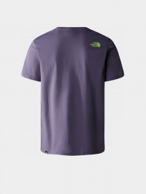 Футболка The North Face Fine модель NF00CEQ5LV11 Фото