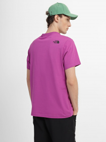 Футболка The North Face Fine модель NF00CEQ5LV11 Фото