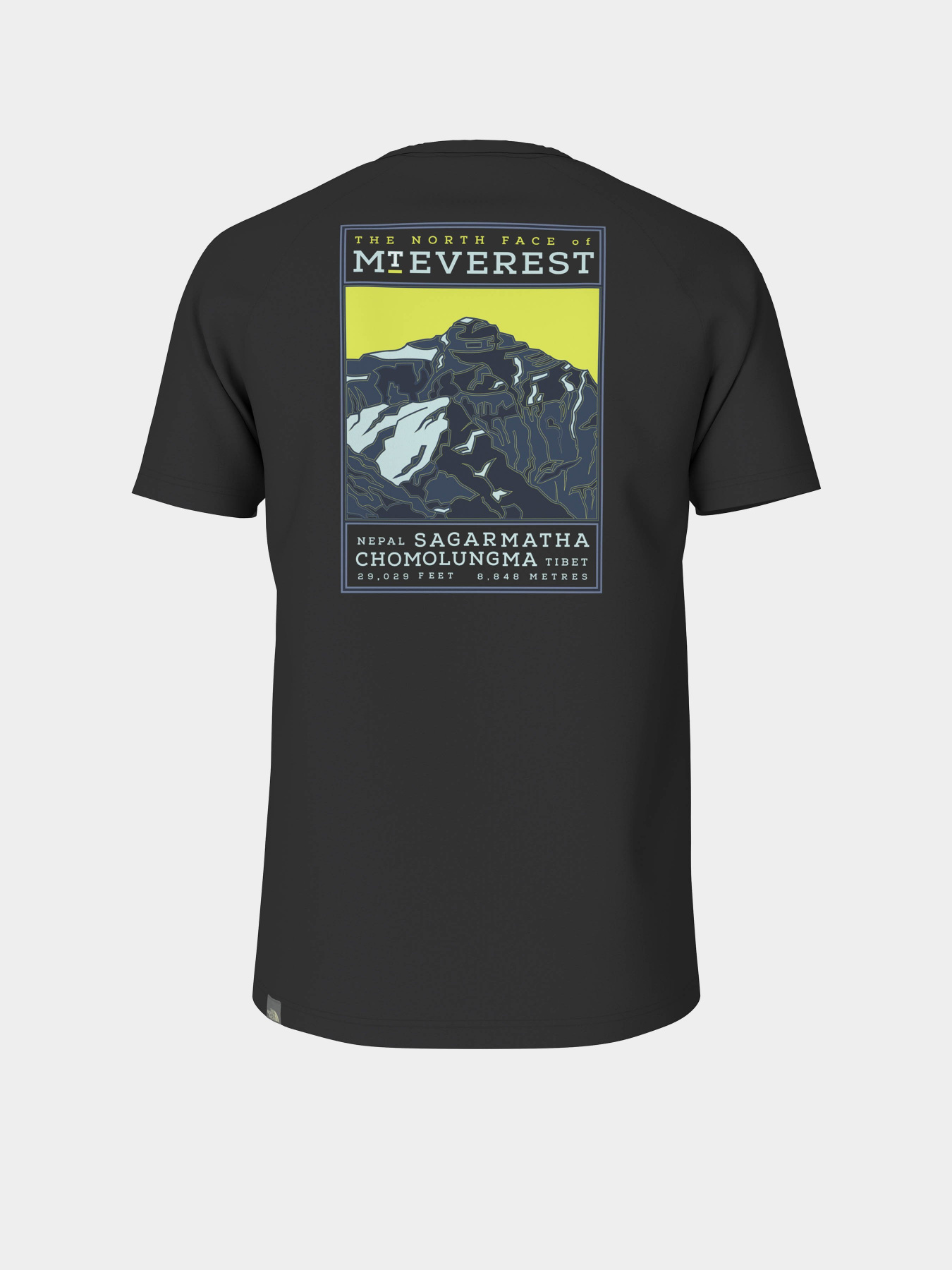 Футболка The North Face Summit модель NF00CEQ8H211 Фото