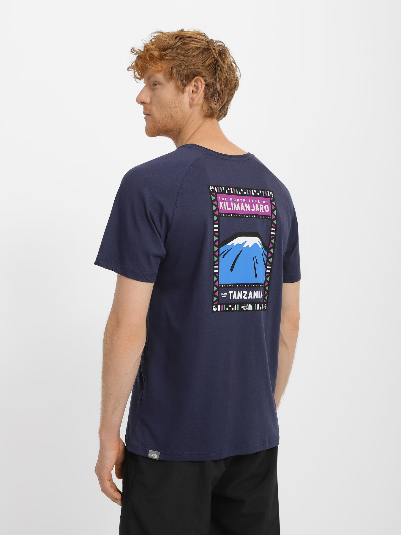 Футболка The North Face Face Summit модель NF00CEQ8H6O1 Фото