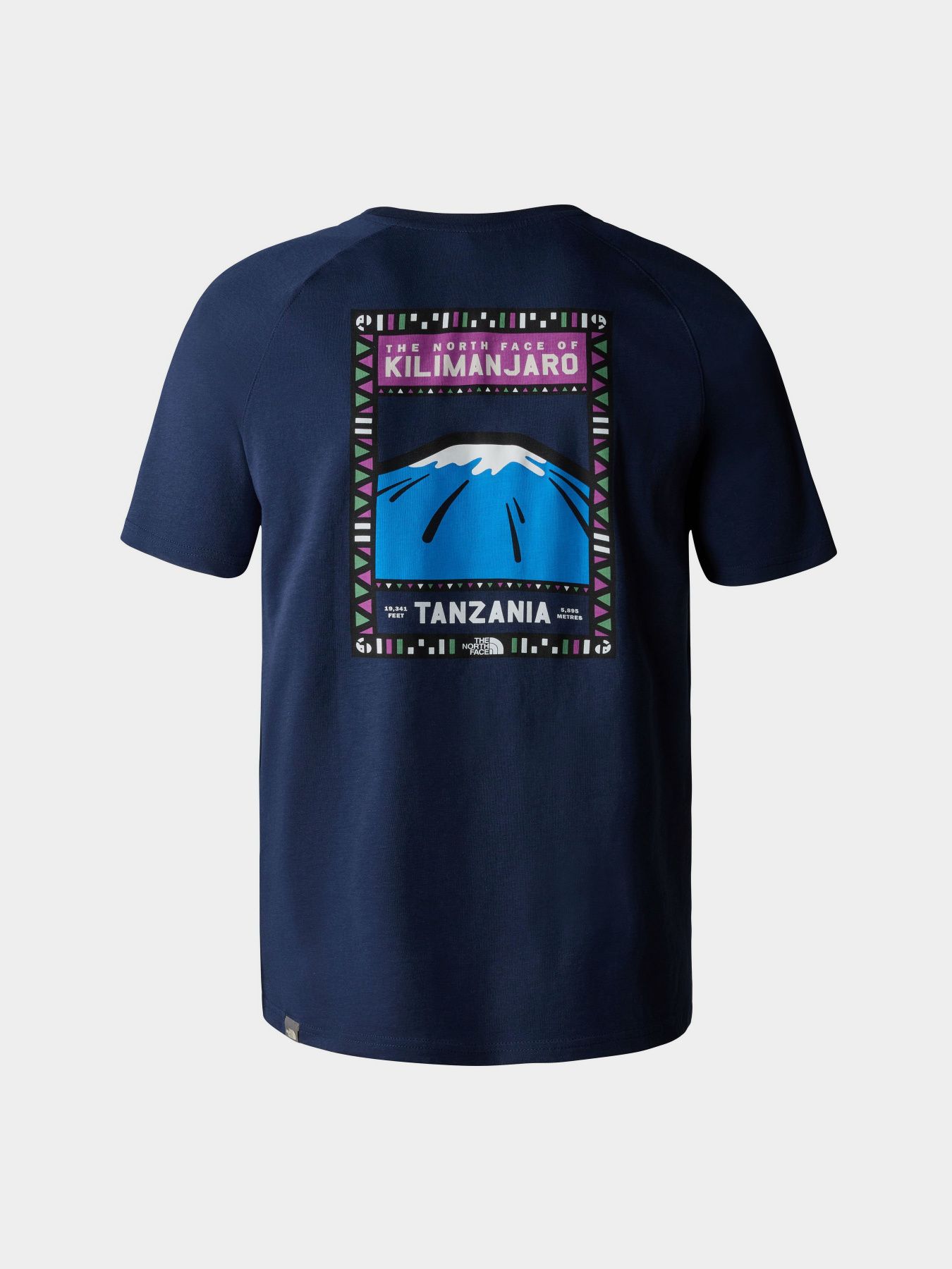 Футболка The North Face Face Summit модель NF00CEQ8H6O1 Фото