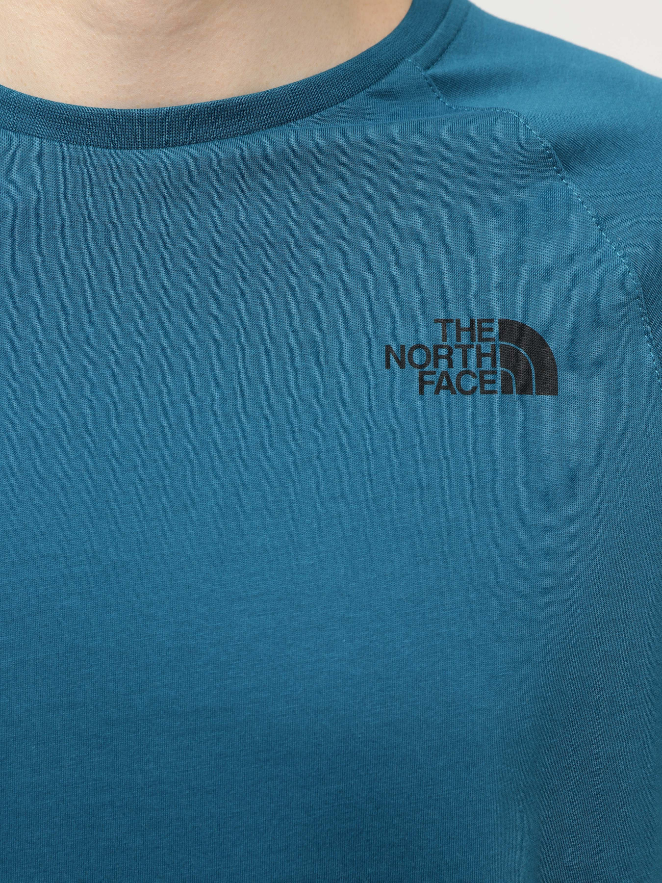 Футболка The North Face Print Mountain Tanzania модель NF00CEQ8IVY1 Фото