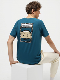 Футболка The North Face Print Mountain Tanzania модель NF00CEQ8IVY1 Фото