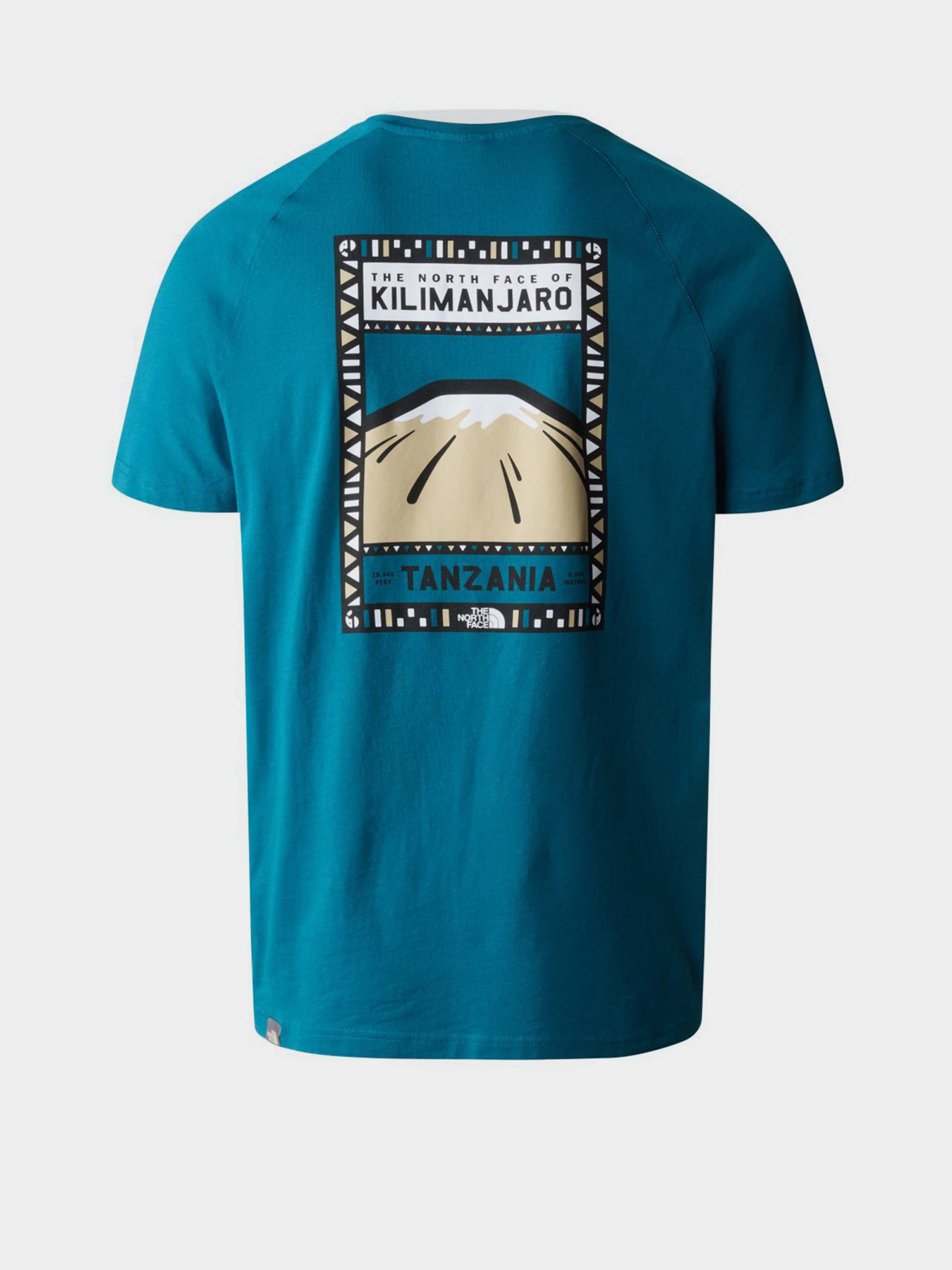 Футболка The North Face Print Mountain Tanzania модель NF00CEQ8IVY1 Фото