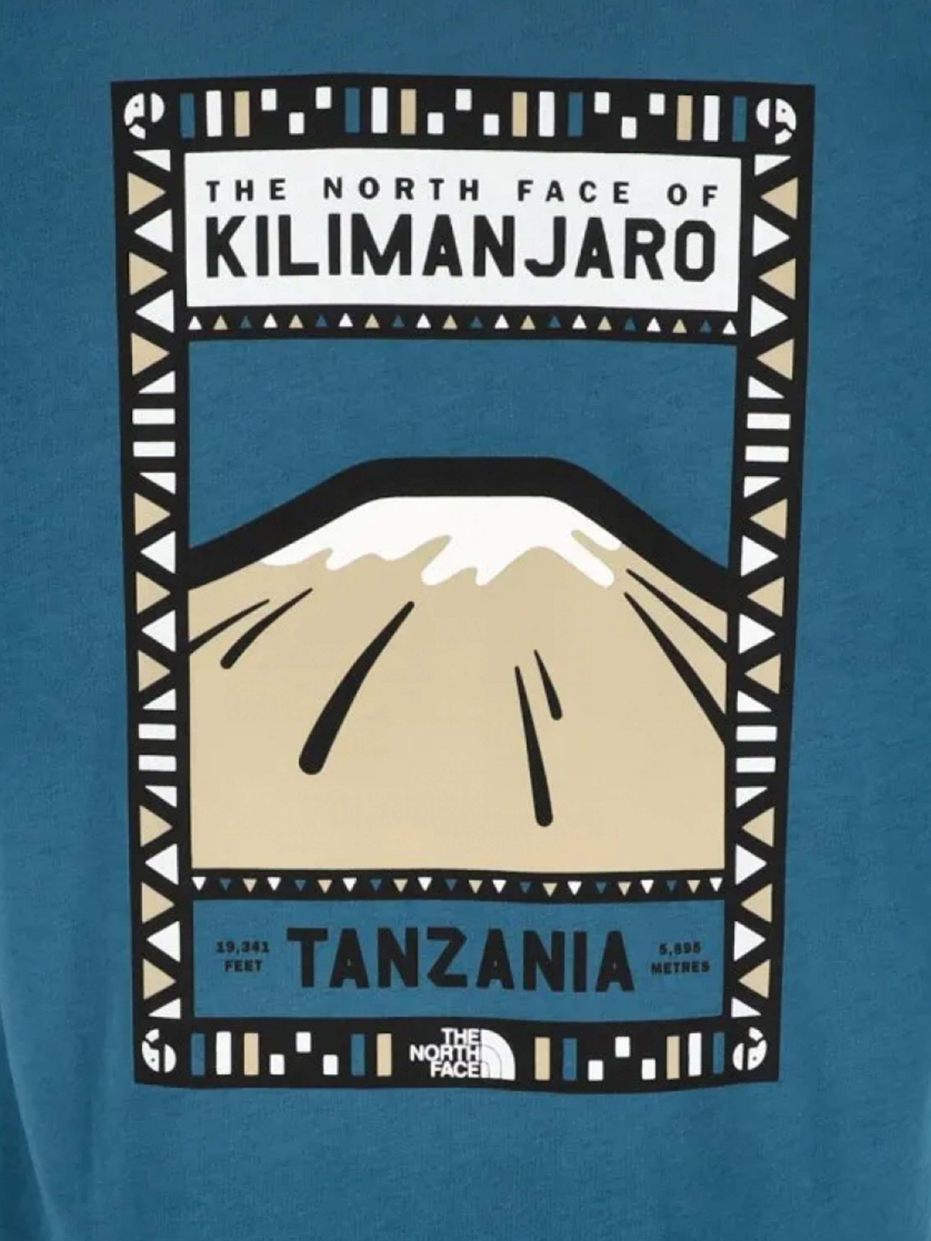 Футболка The North Face Print Mountain Tanzania модель NF00CEQ8IVY1 Фото