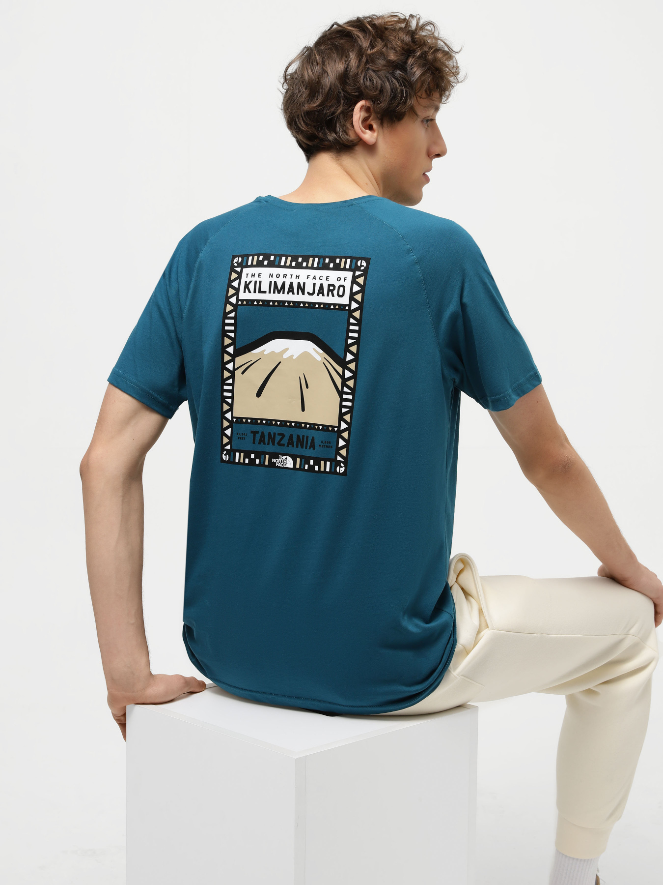 Футболка The North Face Print Mountain Tanzania модель NF00CEQ8IVY1 Фото