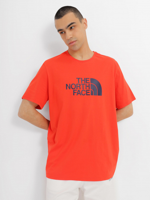 Футболка The North Face Easy модель NF0A2TX315Q1 Фото