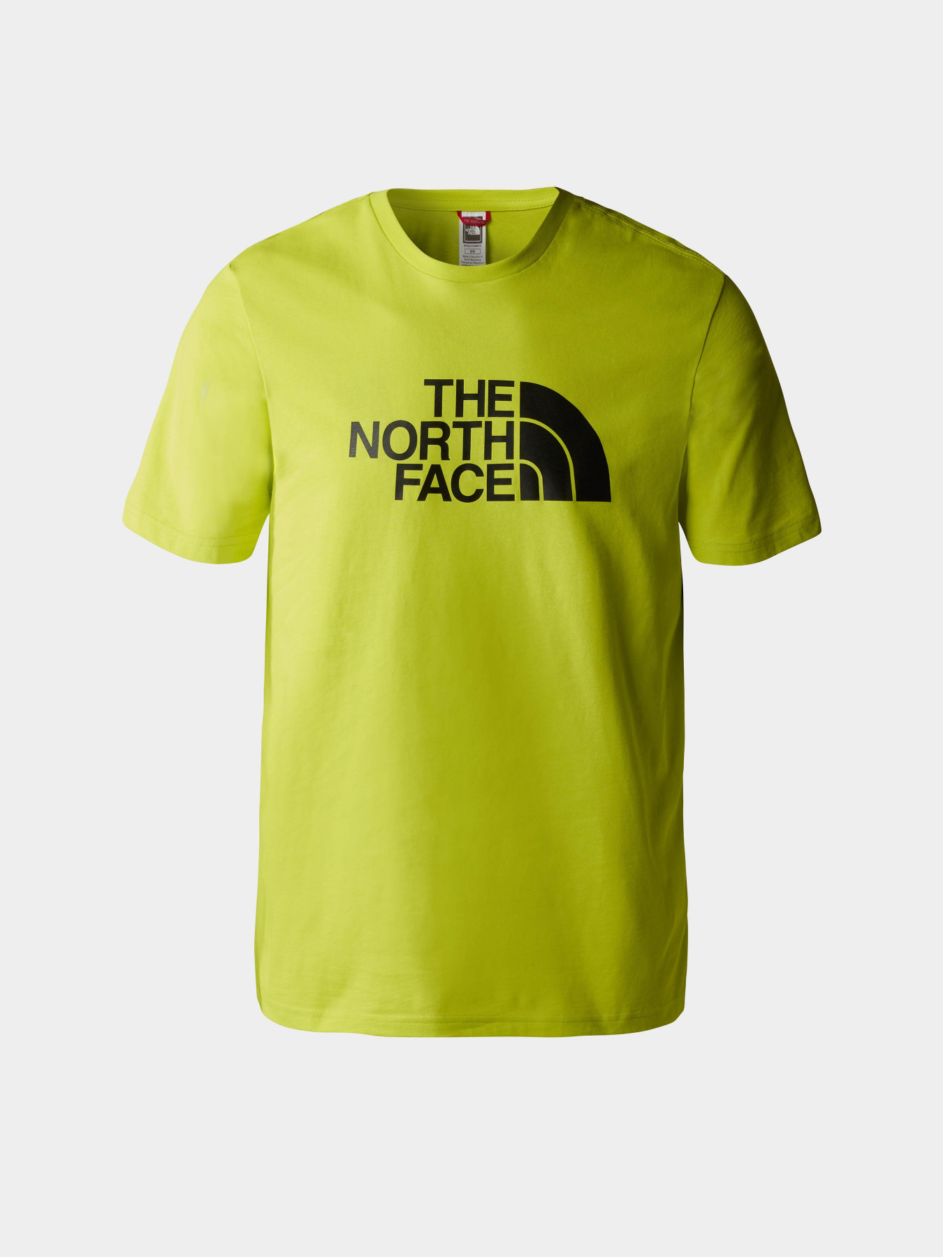 Футболка The North Face Easy модель NF0A2TX38NT1 Фото