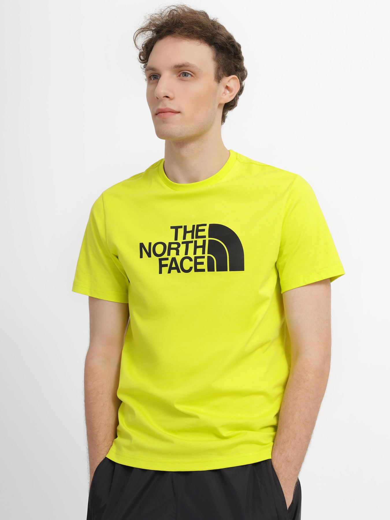 Футболка The North Face Easy модель NF0A2TX38NT1 Фото