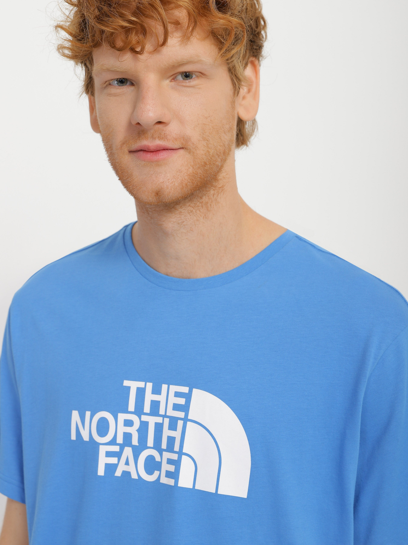 Футболка The North Face Easy модель NF0A2TX3LV61 Фото