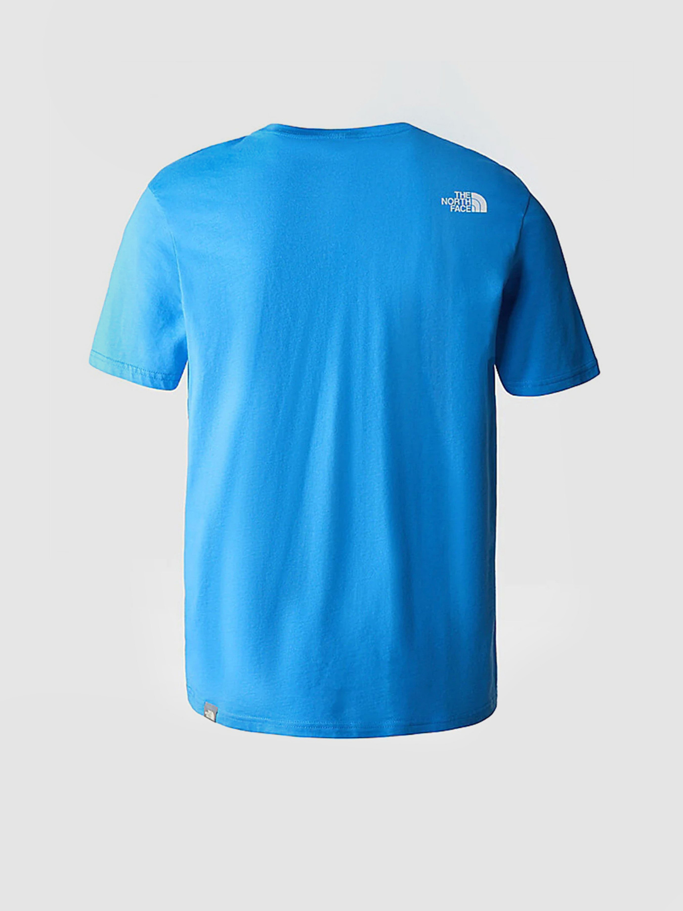 Футболка The North Face Easy модель NF0A2TX3LV61 Фото