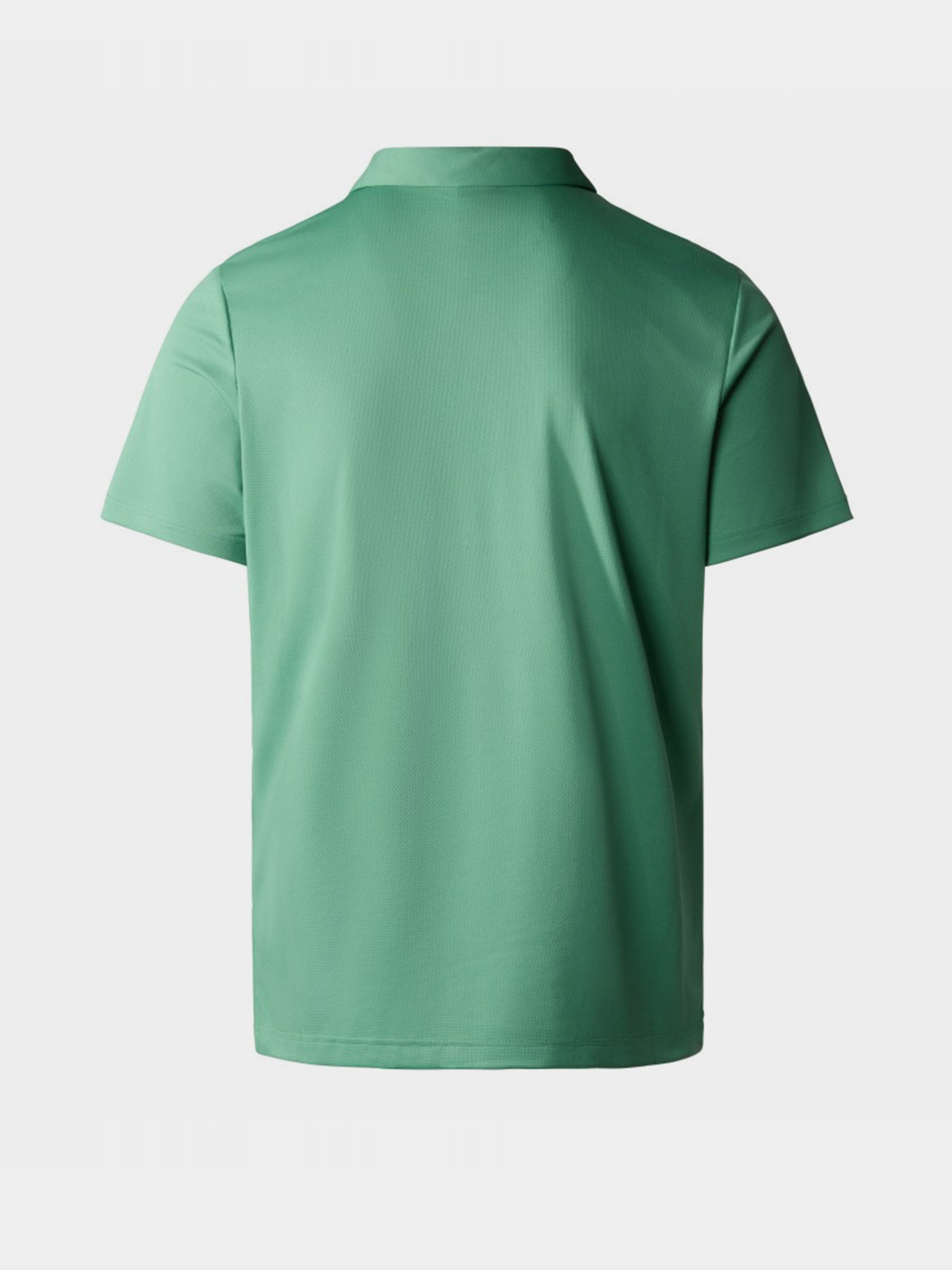 Поло The North Face Tanken модель NF0A2WAZN111 Фото