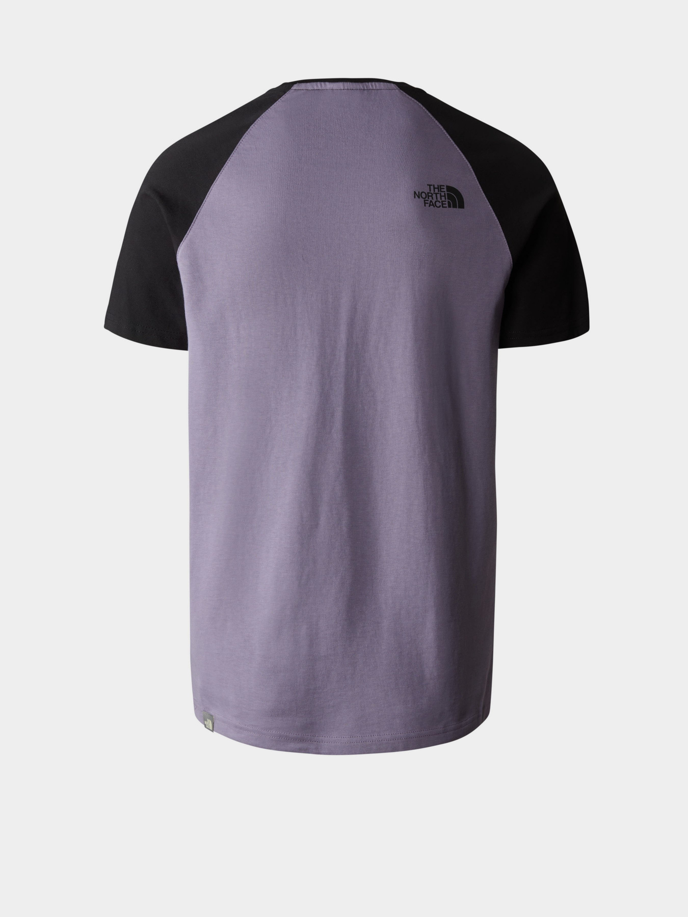 Футболка The North Face Raglan Easy модель NF0A37FVN141 Фото