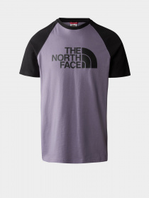 Футболка The North Face Raglan Easy модель NF0A37FVN141 Фото