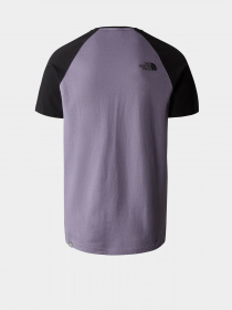 Футболка The North Face Raglan Easy модель NF0A37FVN141 Фото