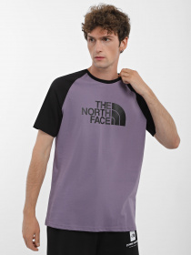 Футболка The North Face Raglan Easy модель NF0A37FVN141 Фото
