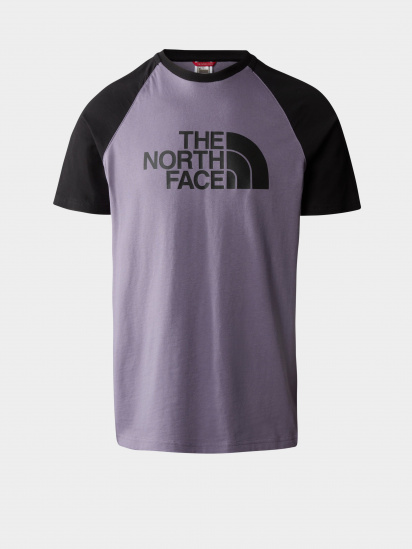 Футболка The North Face Raglan Easy модель NF0A37FVN141 — фото 4 - INTERTOP