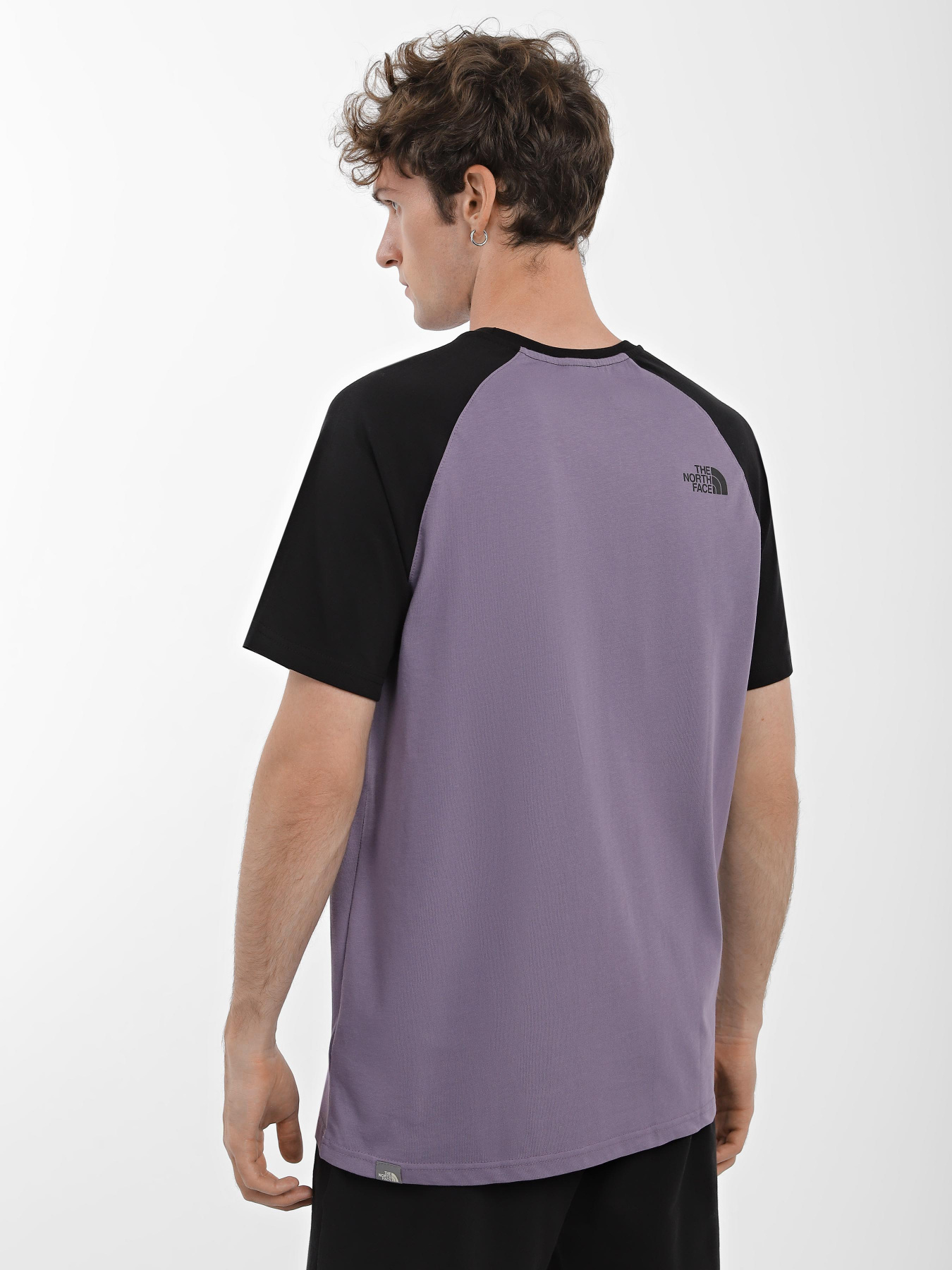 Футболка The North Face Raglan Easy модель NF0A37FVN141 Фото