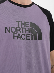 Футболка The North Face Raglan Easy модель NF0A37FVN141 Фото