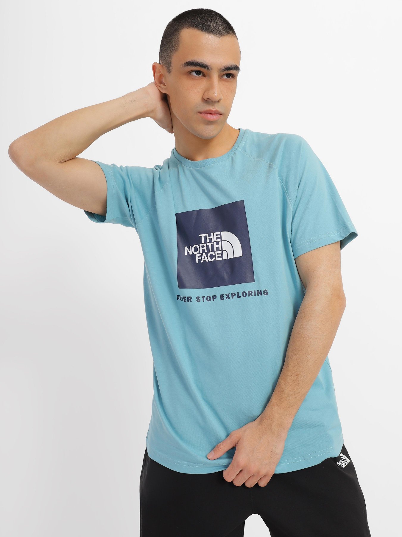 Футболка The North Face Raglan Red Вox модель NF0A3BQOIWO1 Фото