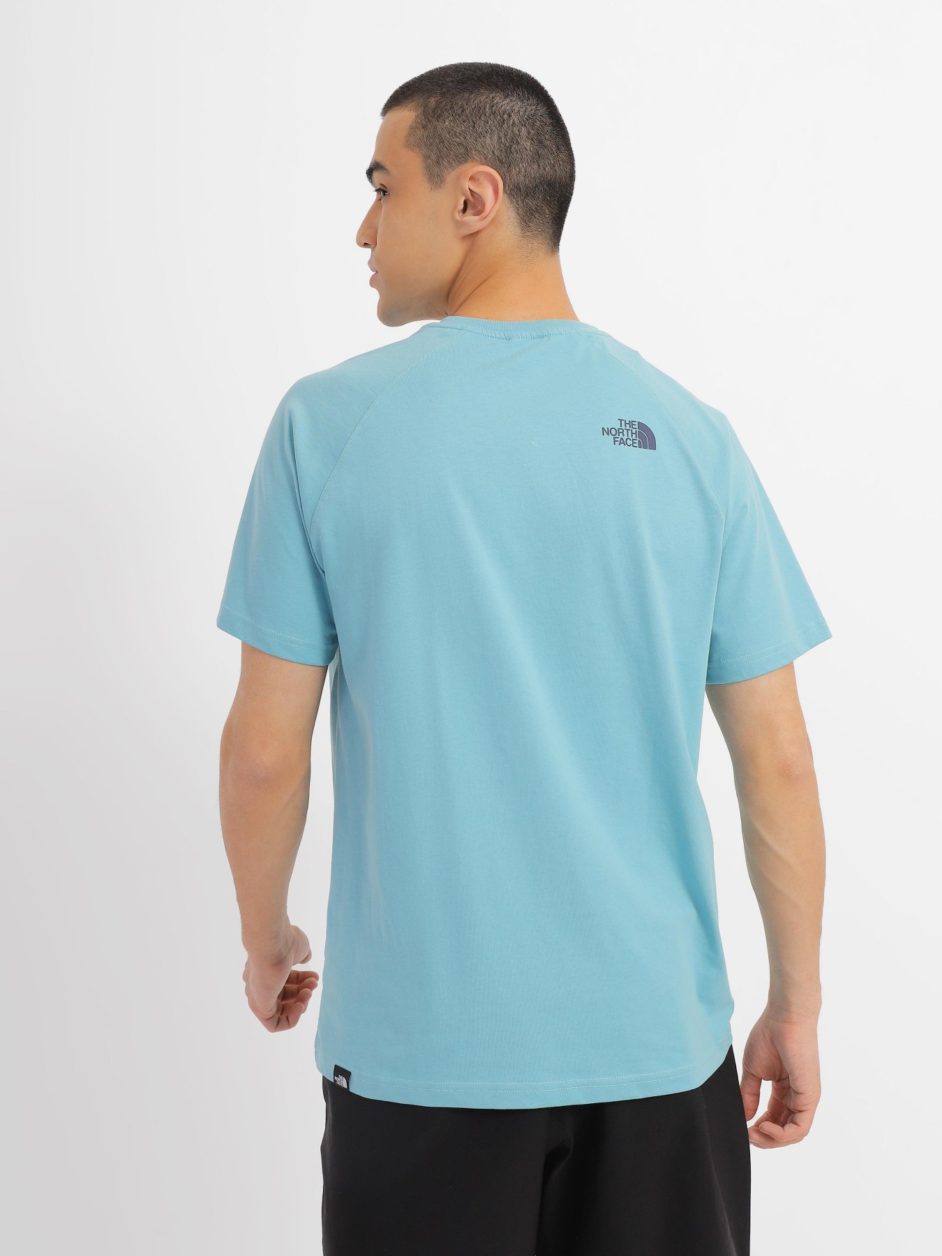 Футболка The North Face Raglan Red Вox модель NF0A3BQOIWO1 Фото