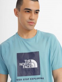 Футболка The North Face Raglan Red Вox модель NF0A3BQOIWO1 Фото