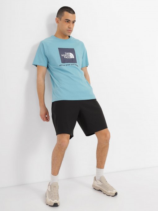 Футболка The North Face Raglan Red Вox модель NF0A3BQOIWO1 Фото